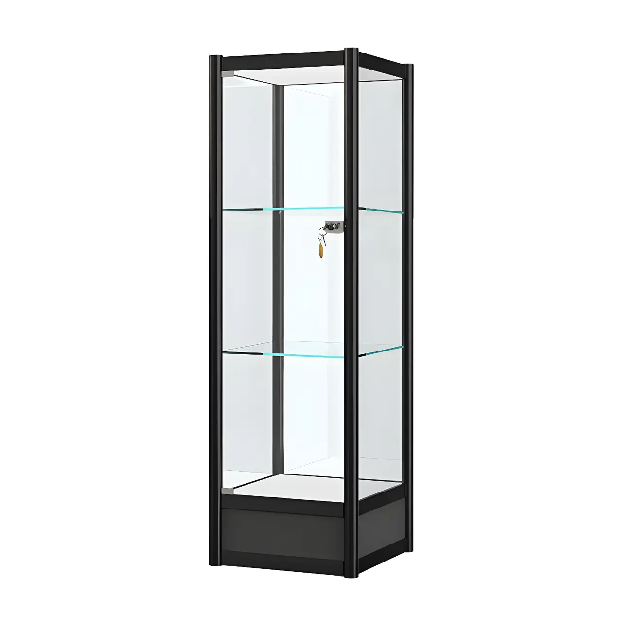 Rectangular Black Clear Glass Metal Frame Curio Cabinet
