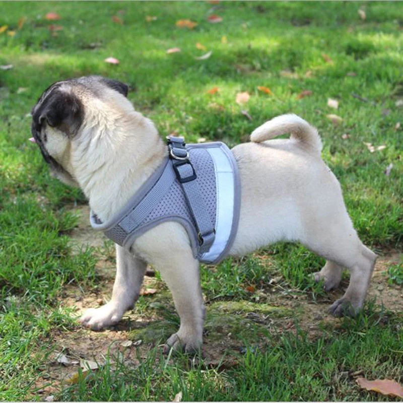 HULIANFU Vest Harness Leash Adjustable Mesh Vest Dog Harness Collar Chest Strap Leash Harnesses With Traction Rope XS/S/M/L/XL - Deanwangkt