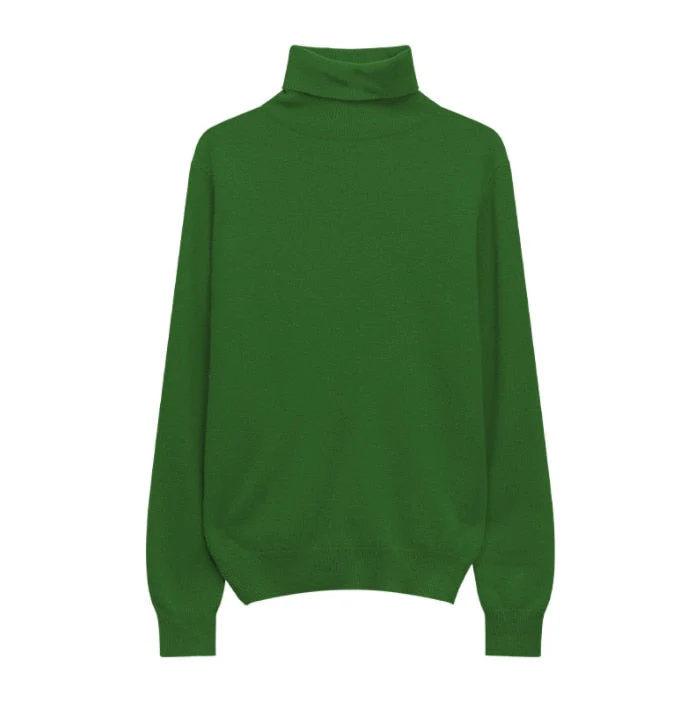 Hulianfu Winter High Quality Wwomen's Wool Sweater Solid Color High-neck Pullover Long-sleeved Knit Top - Deanwangkt