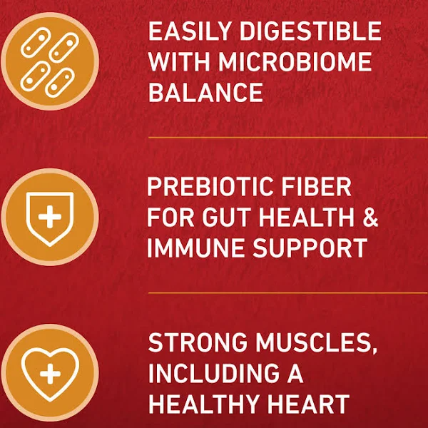 Purina ONE SmartBlend Chicken & Rice Formula Adult Dry Dog Food - 31.1 lb. Bag