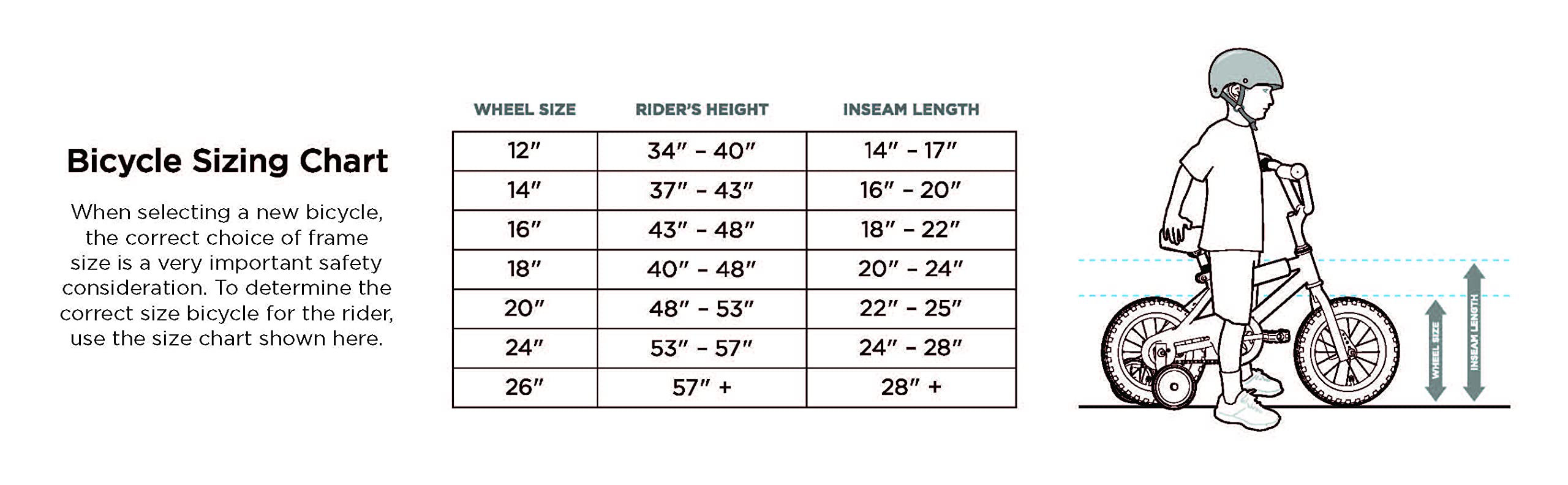 Dynacraft Major Damage 12 20 Inch Wheels