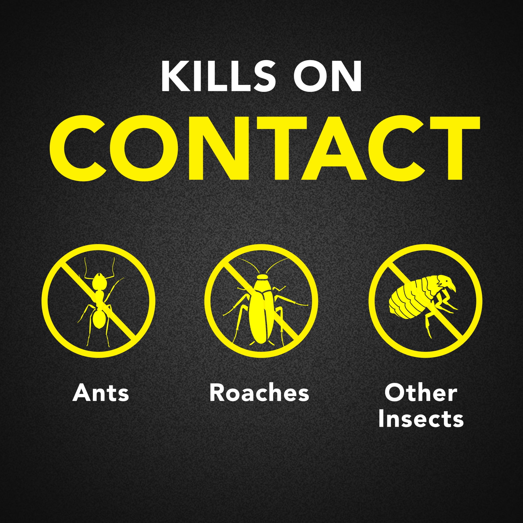 Raid Ant & Roach Killer Aerosol Spray, Lemon Scent, 17.5oz – Effective Insecticide for Crawling Insects