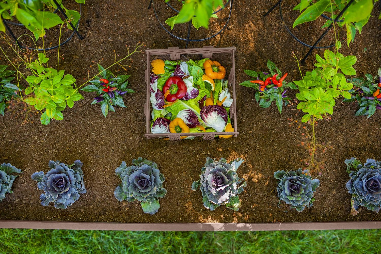 Vita Urbana Vinyl Keyhole Composting Garden, Espresso Brown, 3′ x 5′ x 22′′