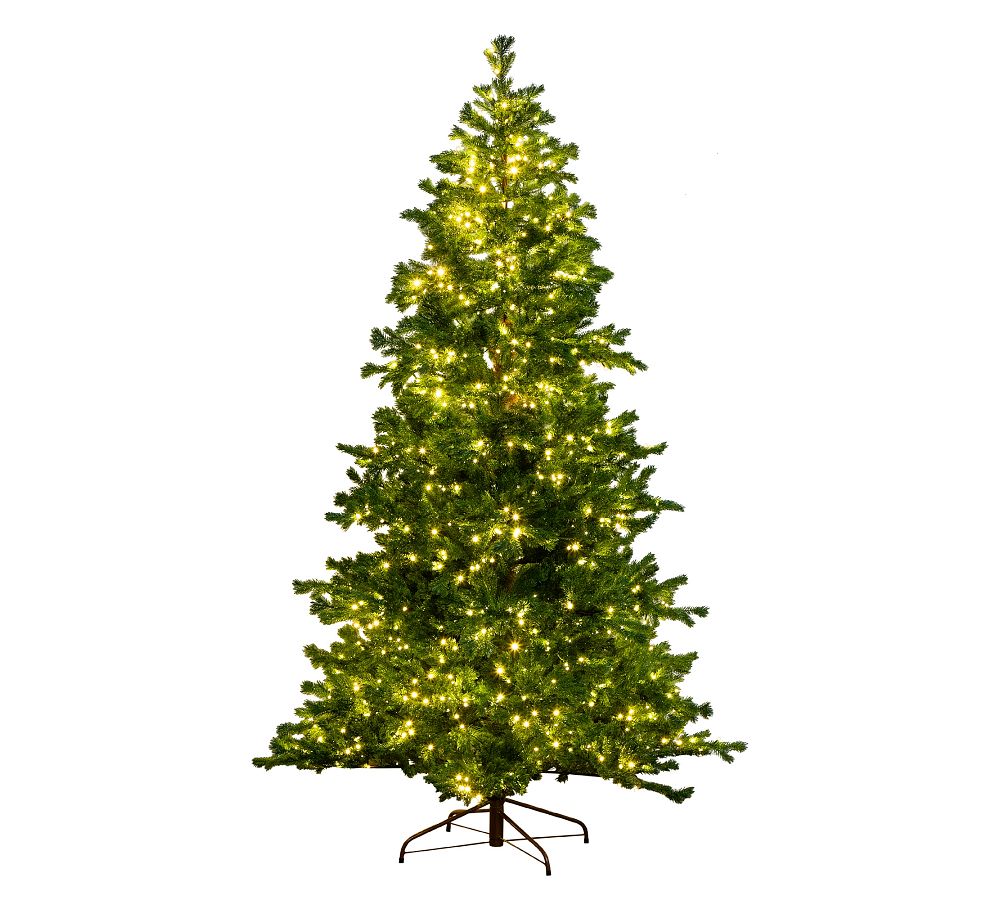 Multi-Color Pre-Lit Spruce Fir Tree with 1000 LED Bulbs, 90′′ Tall, 52′′ Diameter, by [Brand Name]