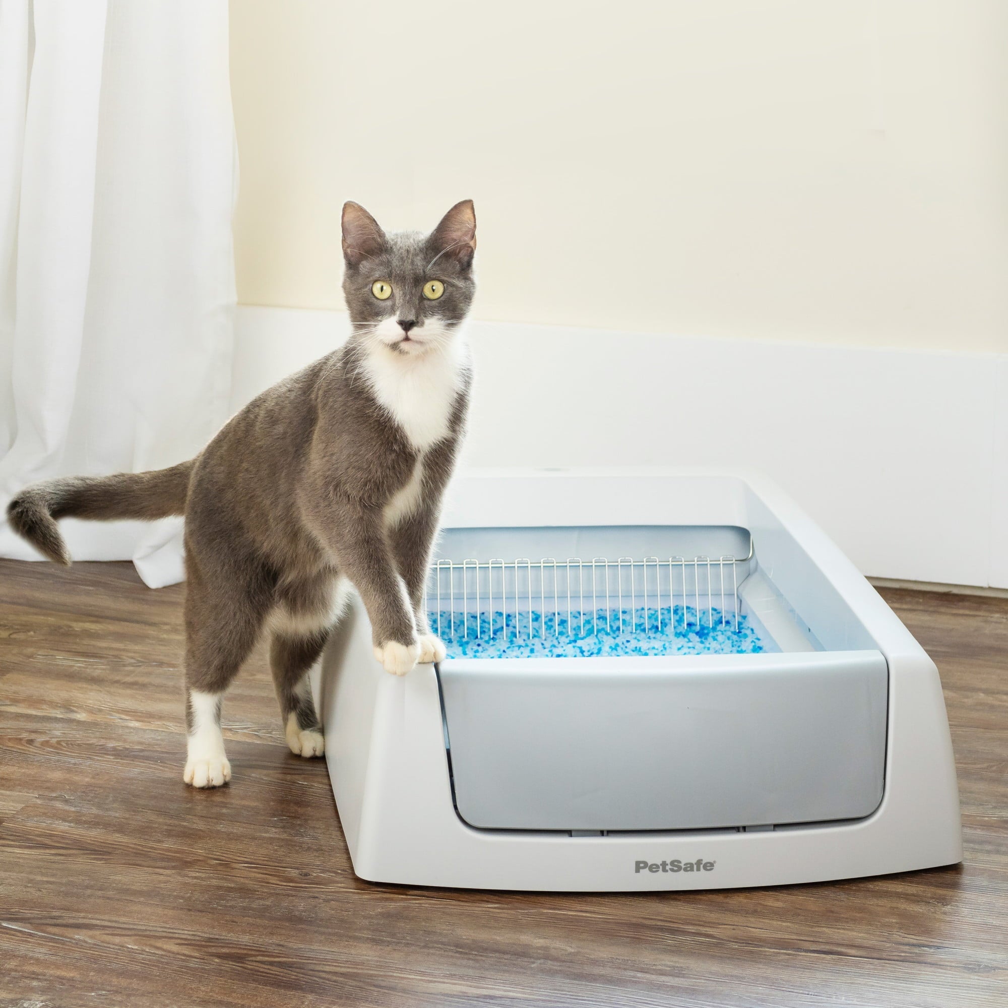 ScoopFree Complete Self-Cleaning Litter Box – No Scooping Required – Unbeatable Odor Control