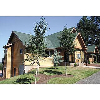 Western Red Cedar Bevel Siding 11/16′′x8′′x144′′ 6-Pack – Weather Resistant Wood