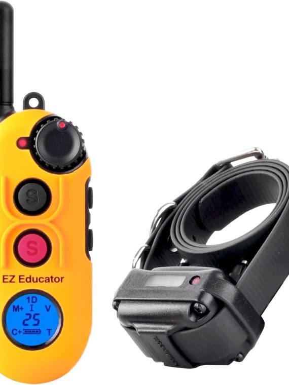 SYANSPAN Sewer Camera 100ft – 17mm Low Temp Resistant Pipe Inspection with 16GB DVR & LED for Plumbers