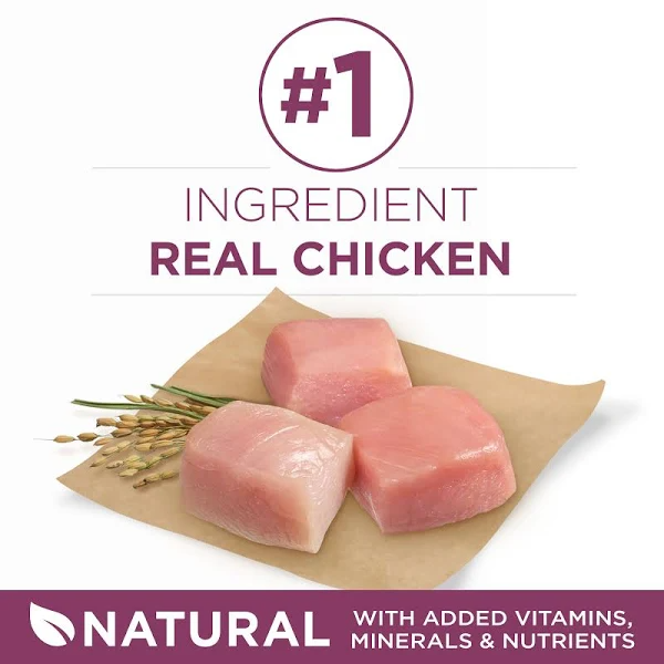 Purina ONE +Plus Healthy Puppy Dry Food, Natural Chicken, 31.1 lb Bag