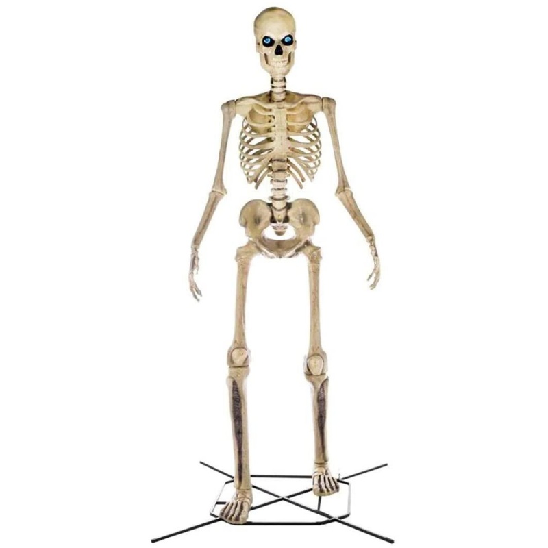 Home Accents 12 ft Giant Skeleton with LifeEyes, 95 lbs – Halloween Decoration
