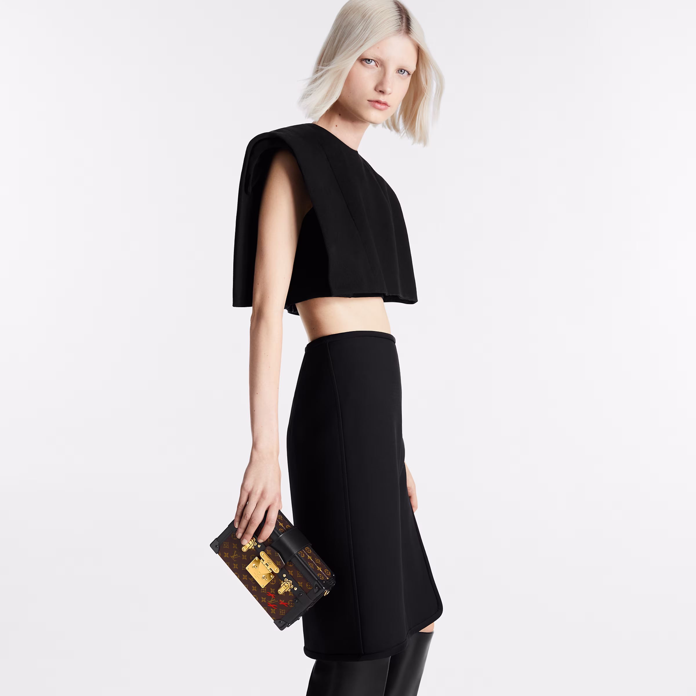 L V Petite Malle N40273