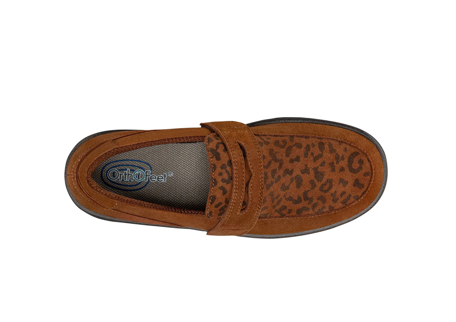 Shelly - Leopard