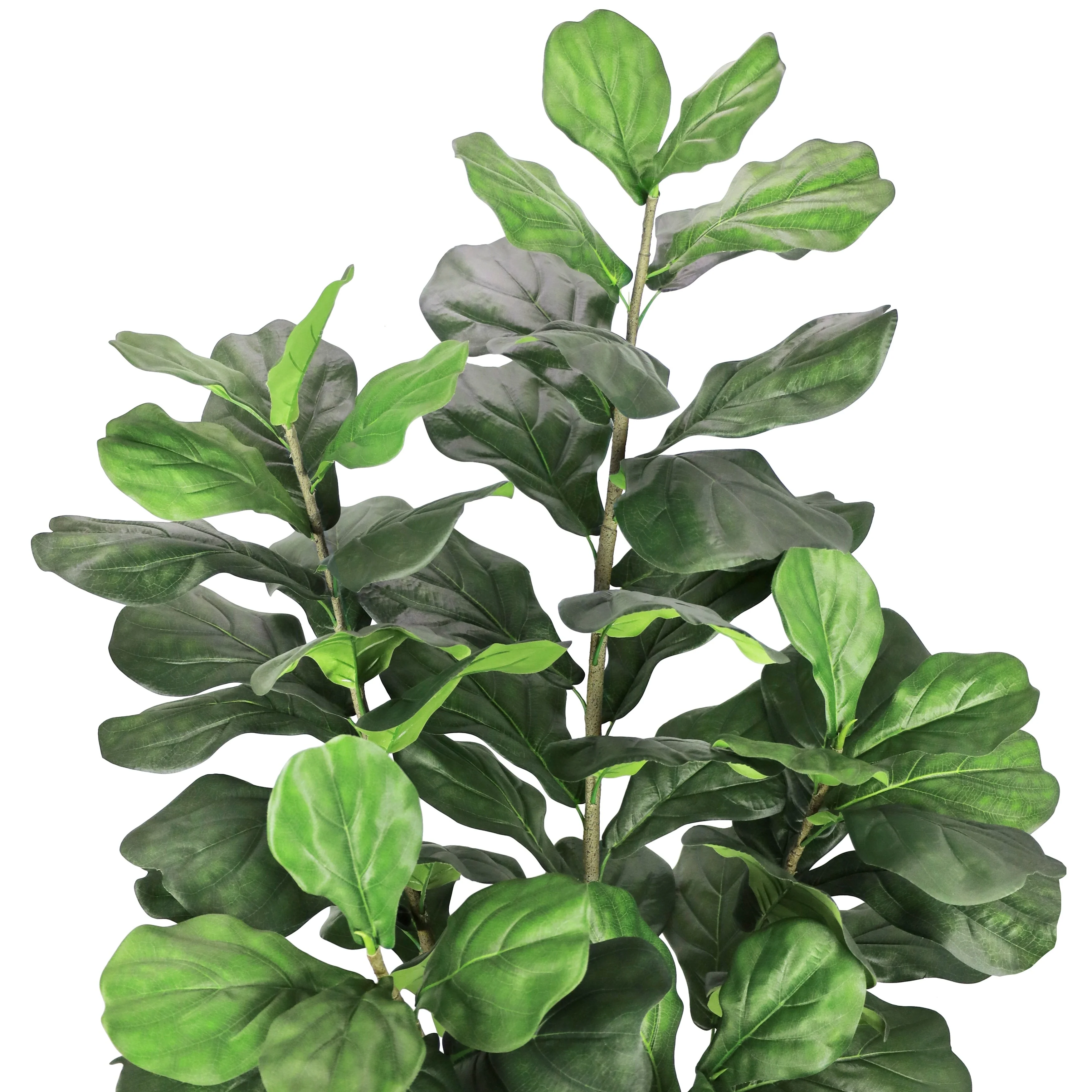 6ft Artificial Fiddle Leaf Fig Tree Plant in Black Pot - 72