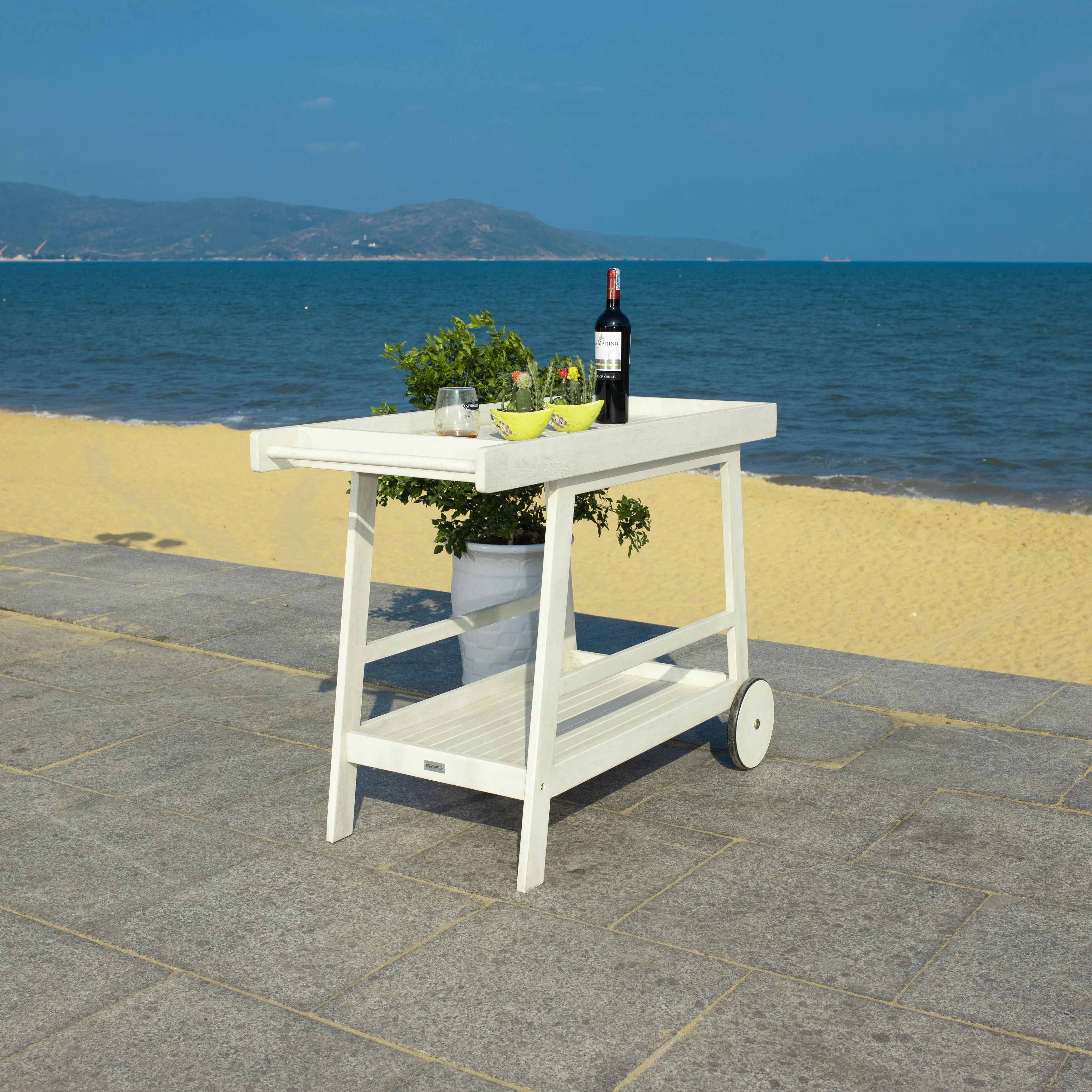 SAFAVIEH Outdoor Hayleigh Bar Cart - 48Wx20Dx32H