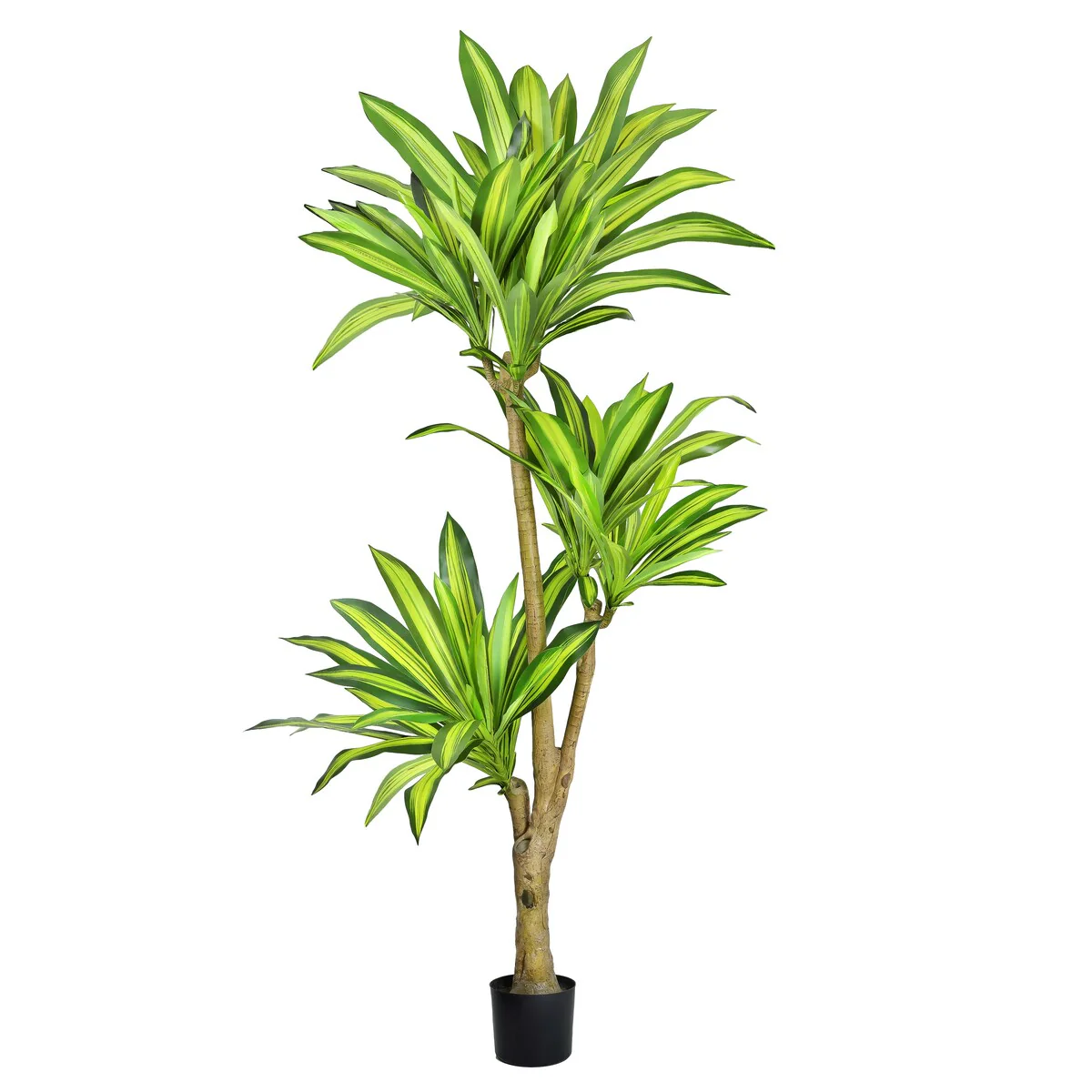 6ft Real Touch Artificial Dracaena Tree Plant in Black Pot - 72