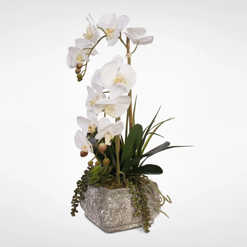 Real Touch Phalaenopsis Orchids with Succulents in a Concrete Pot