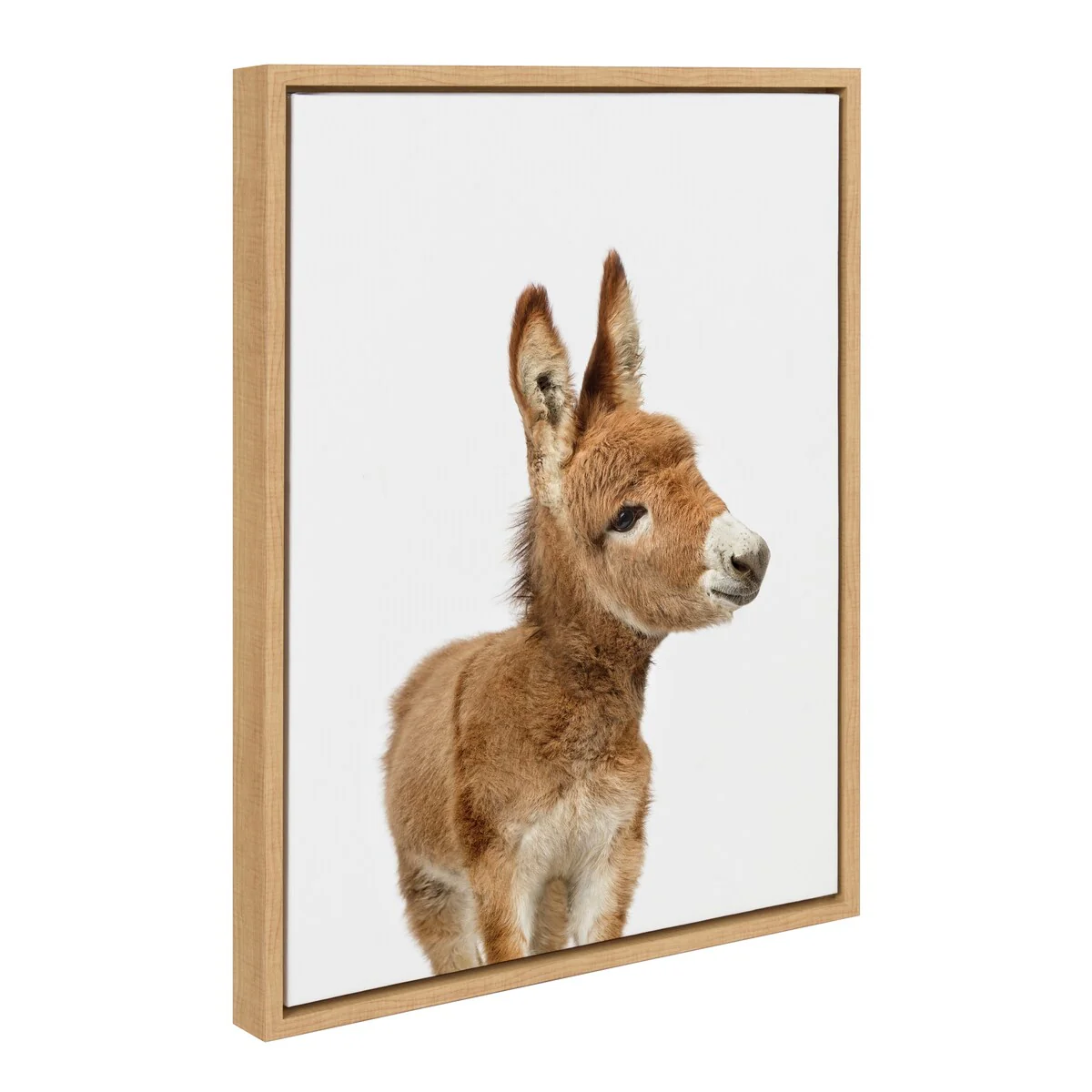 Sylvie Baby Burro Animal Print Framed Canvas Wall Art by Amy Peterson