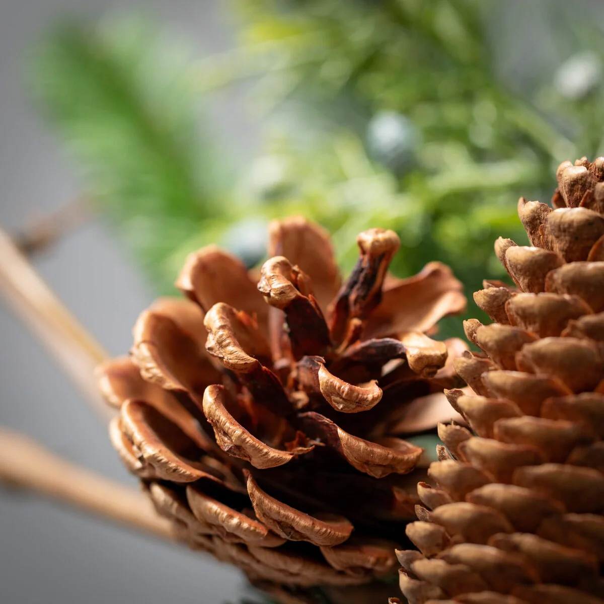 Sullivans Artificial Christmas Lush Pine Pinecone Stem