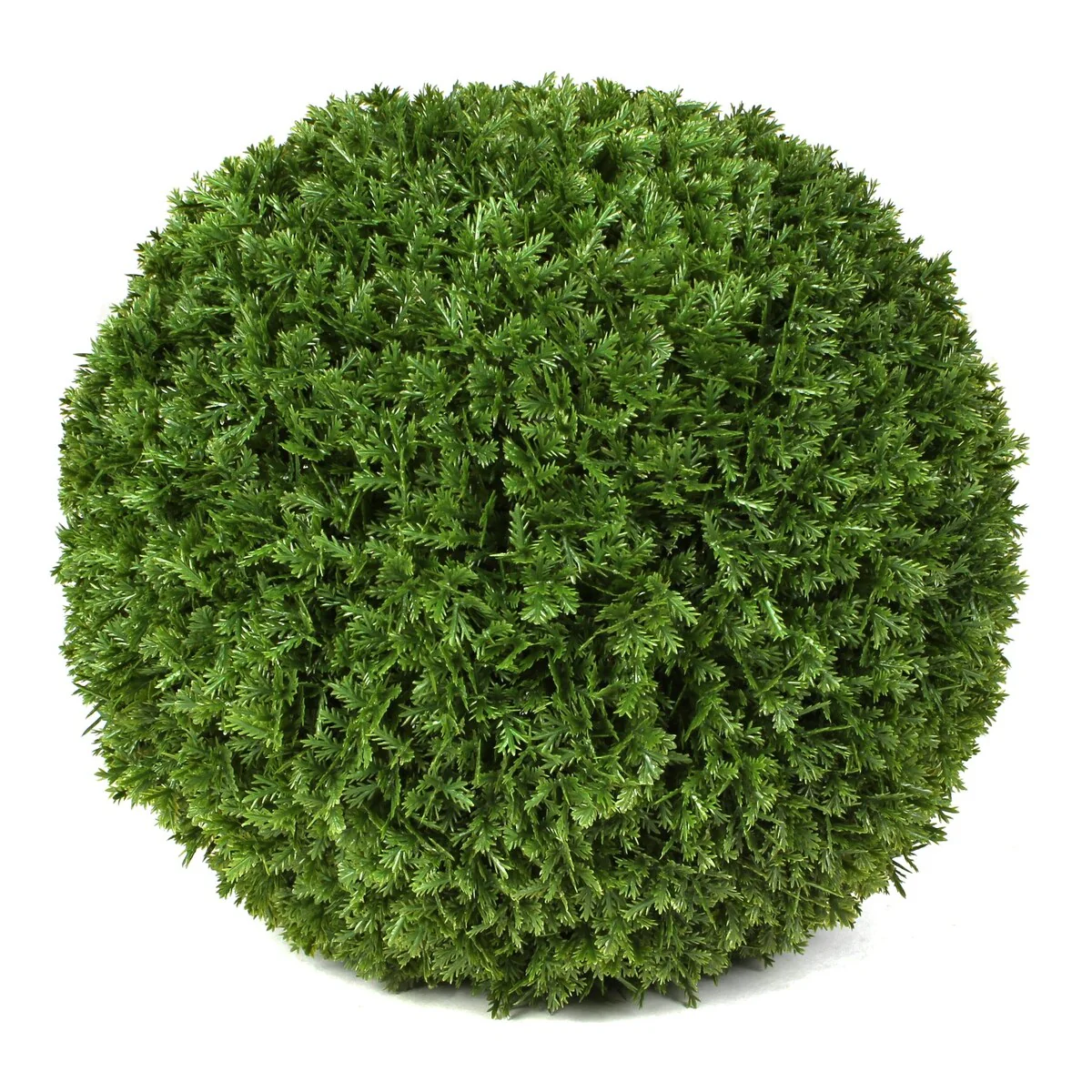 Cypress Topiary Ball