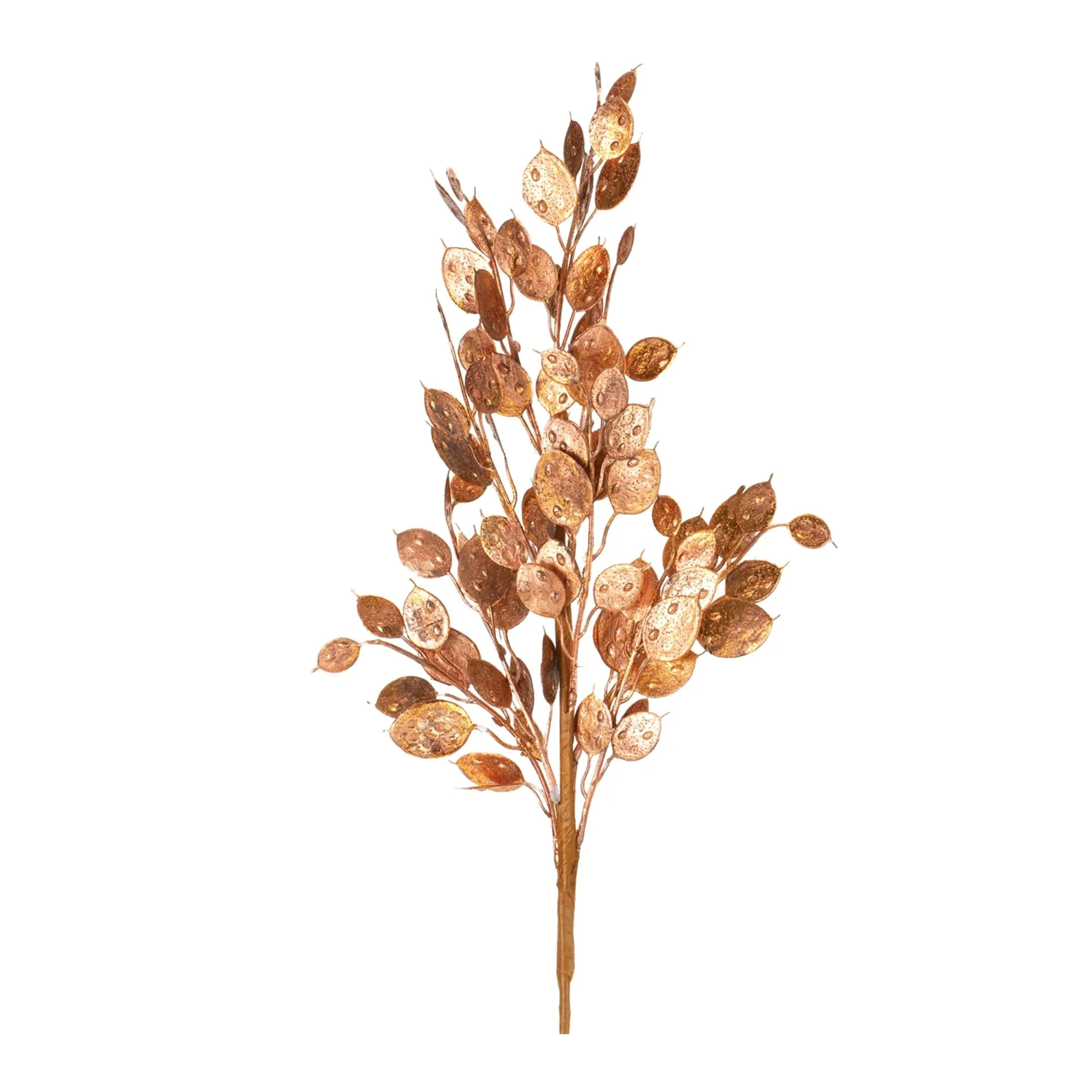 Metallic Silver Dollar Bush (Set of 6) - Copper