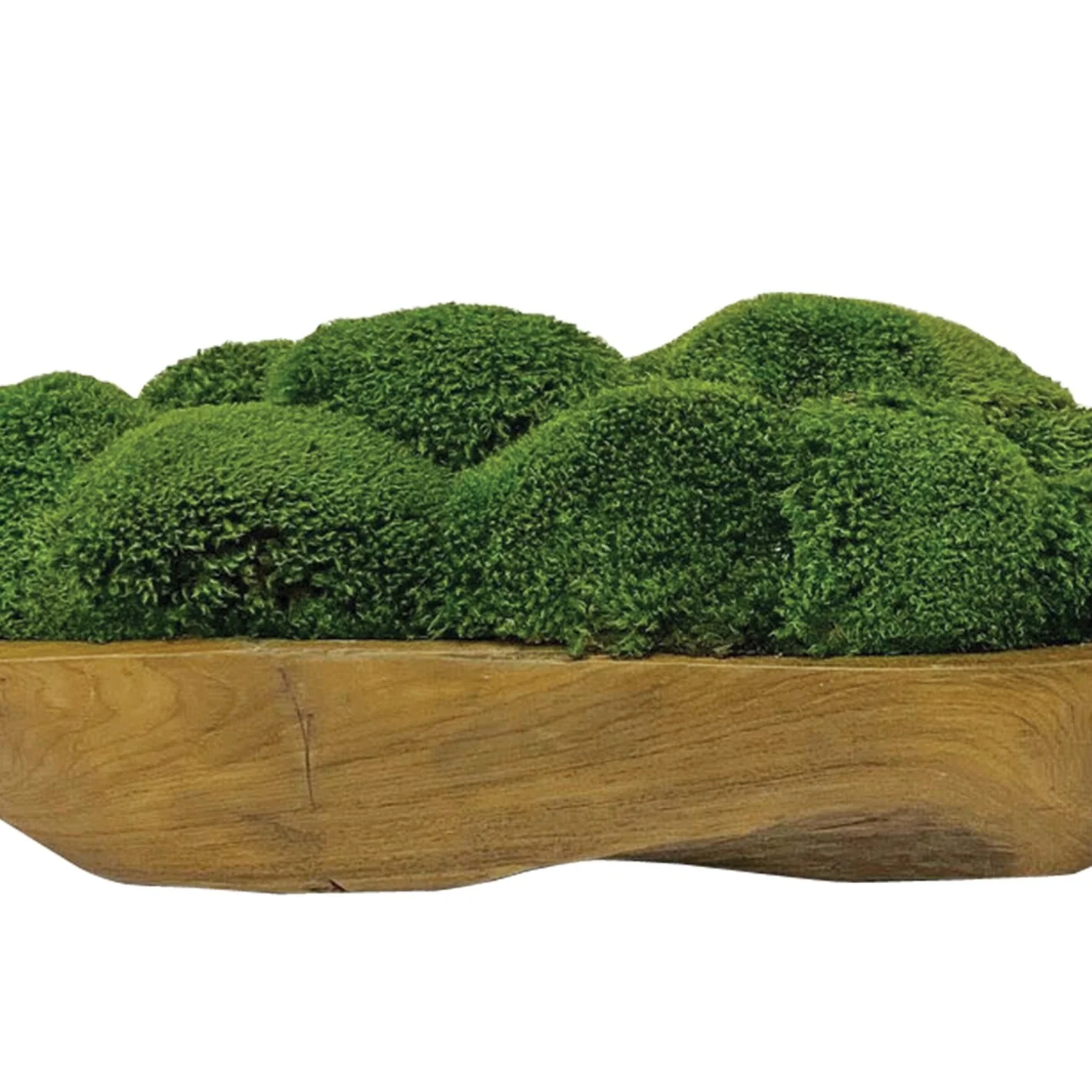 Uttermost Kinsale Moss Centerpiece