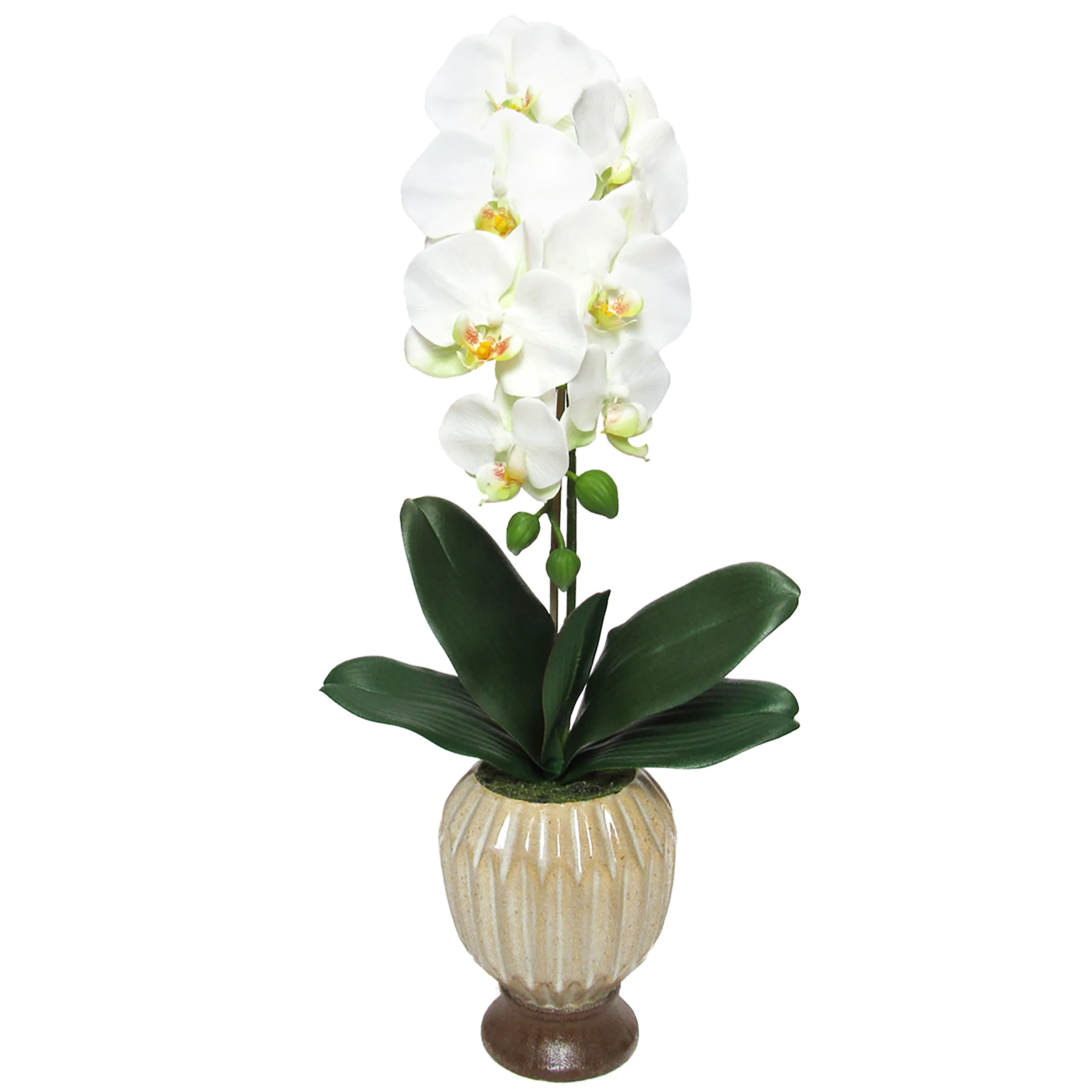 Cream White Artificial Phalaenopsis Orchid Flower Arrangement in Origami Ceramic Pot 24in - 24