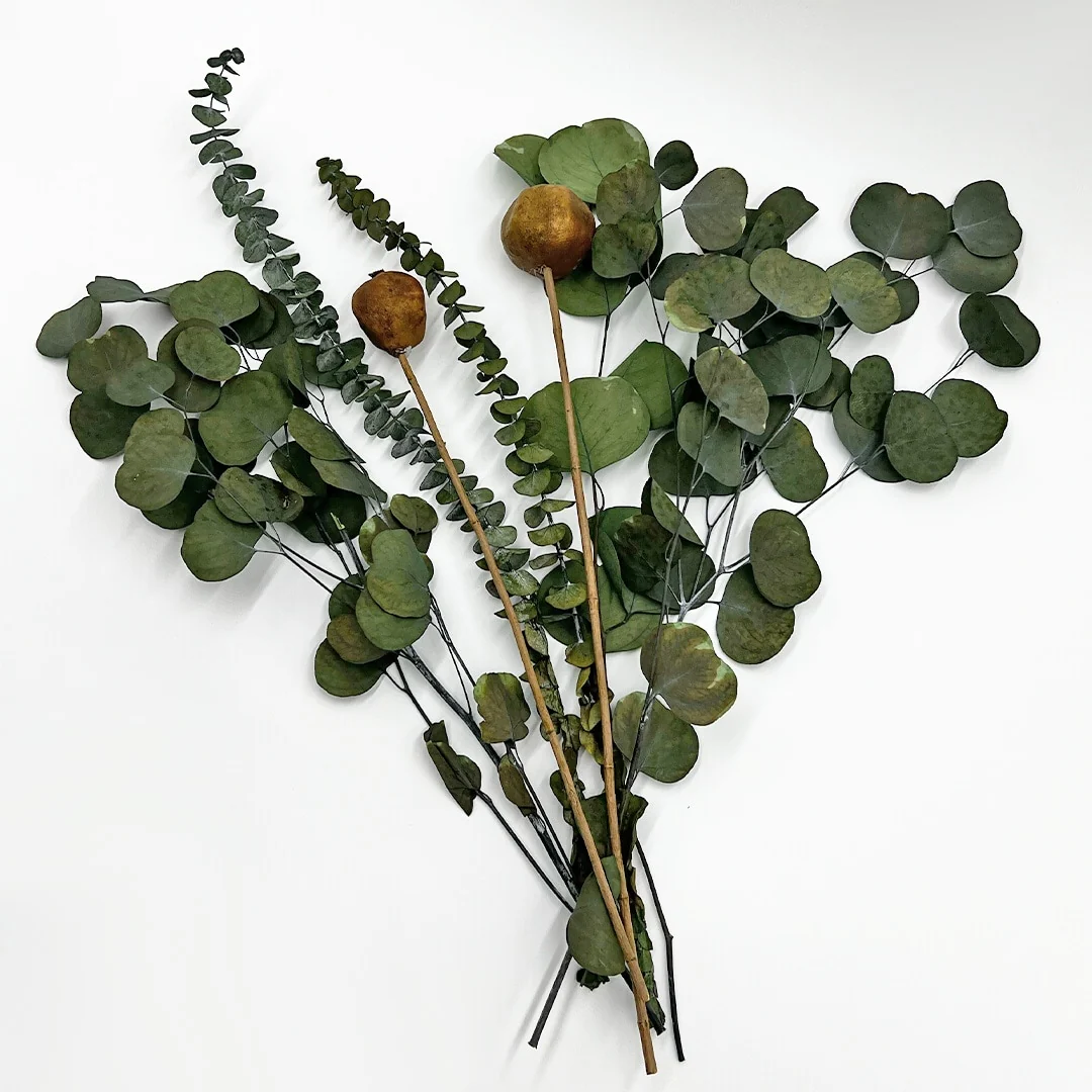 Real Preserved Eucalyptus Mixed Bouquets Mix 12 Med - Large - Multi Colored