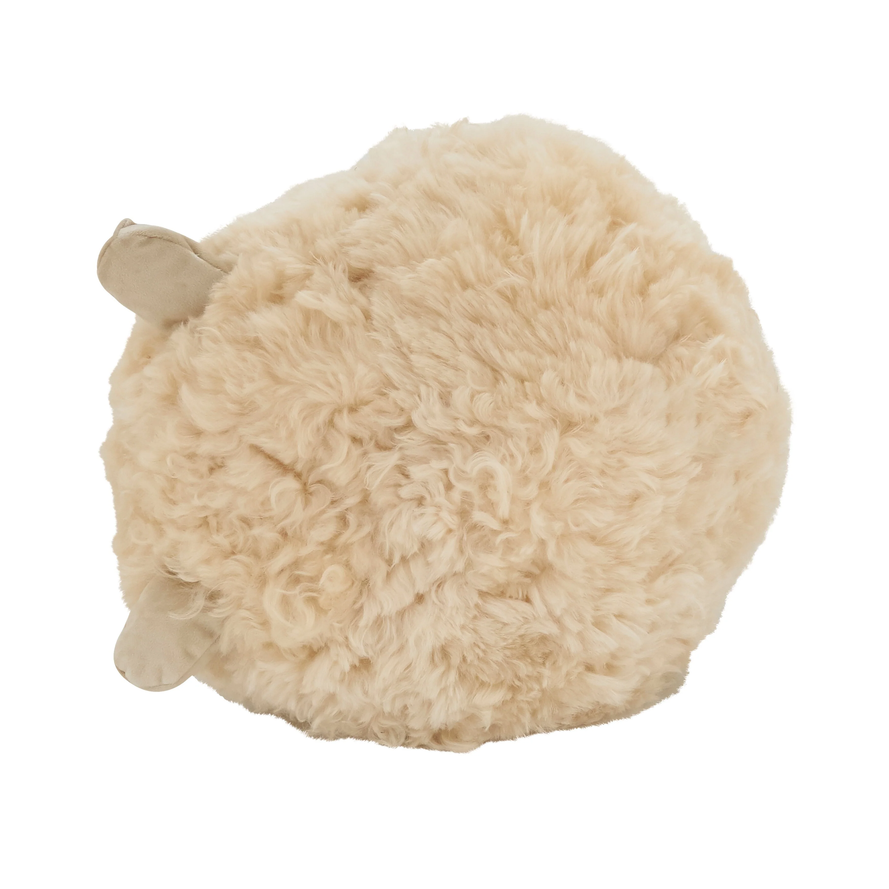 Wooly Wonder Baby Lamb Poly Filled Throw Pillow
