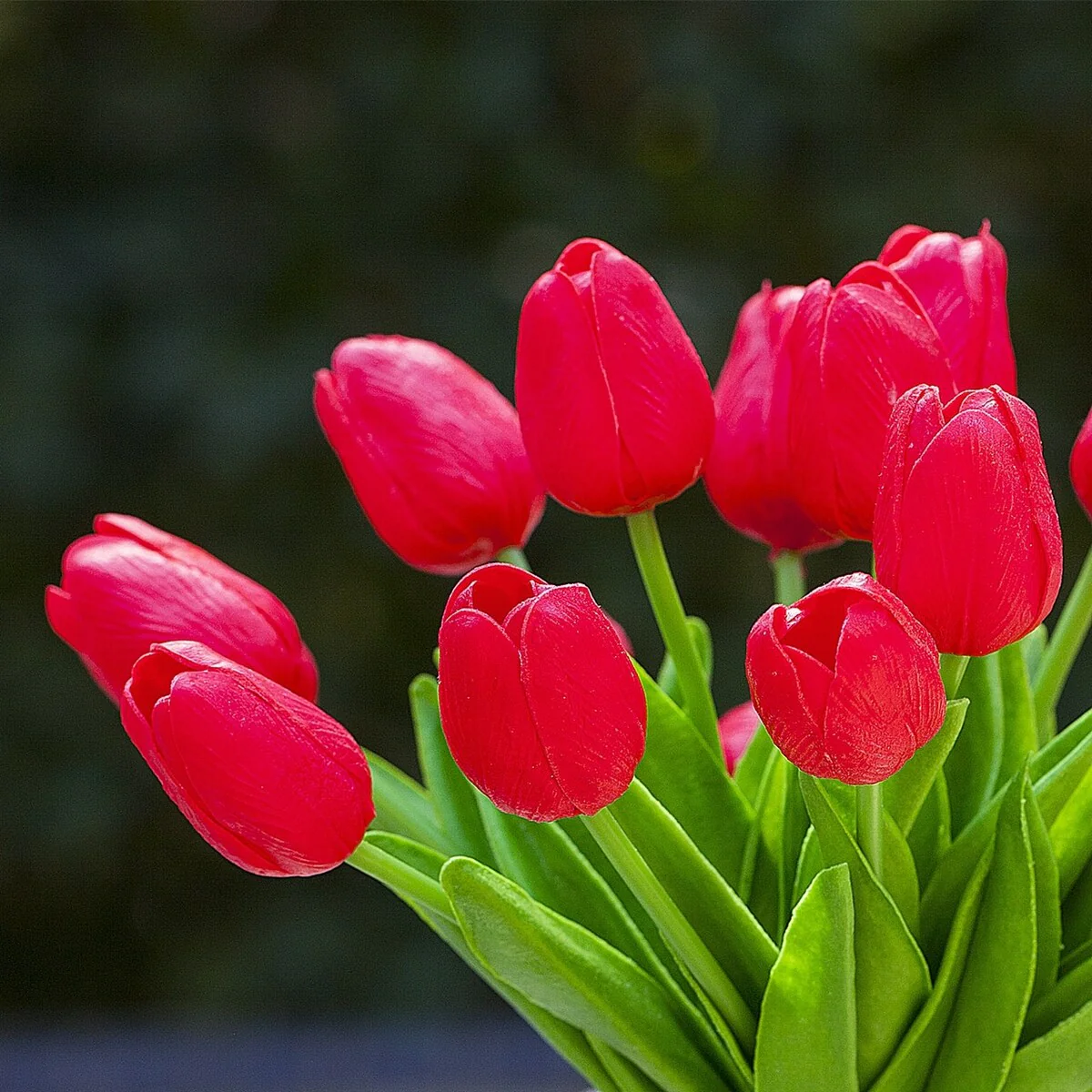 Enova Home 20 Pieces Artificial Real Touch Tulips Fake Silk Flowers Arrangement in Cube Glass Vase with Faux Water