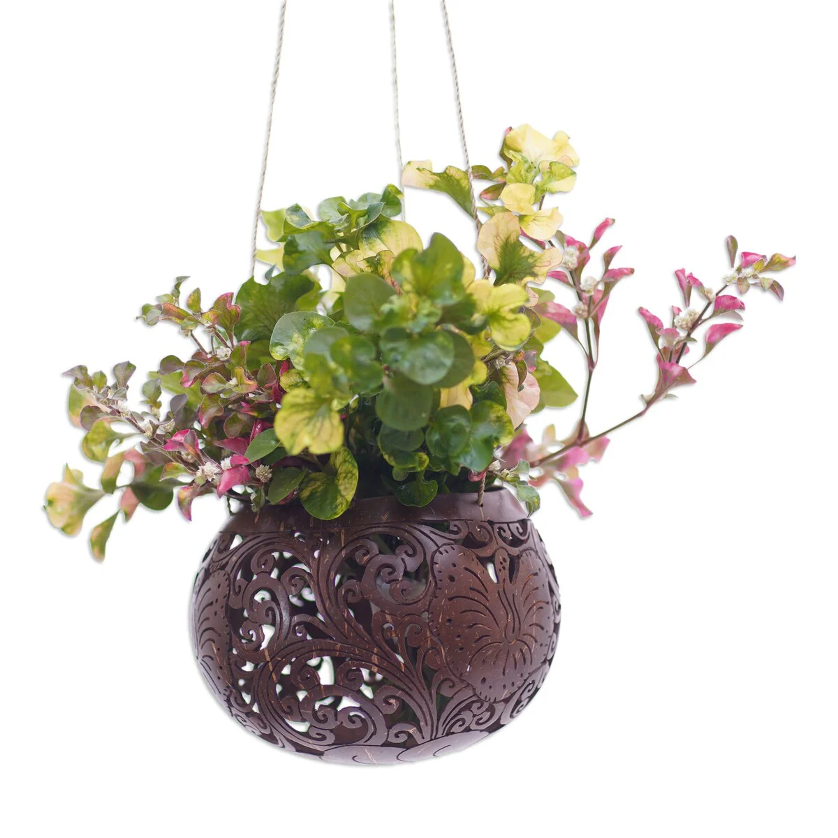 Novica Handmade Tropical House In Bloom Coconut Shell Hanging Planter
