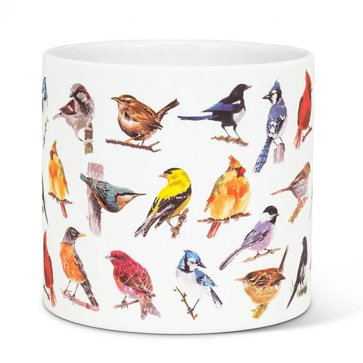 North American Birds Planter