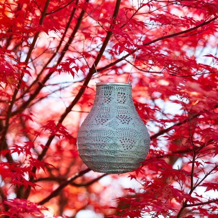 Soji Stella Bulb Wave - Sage