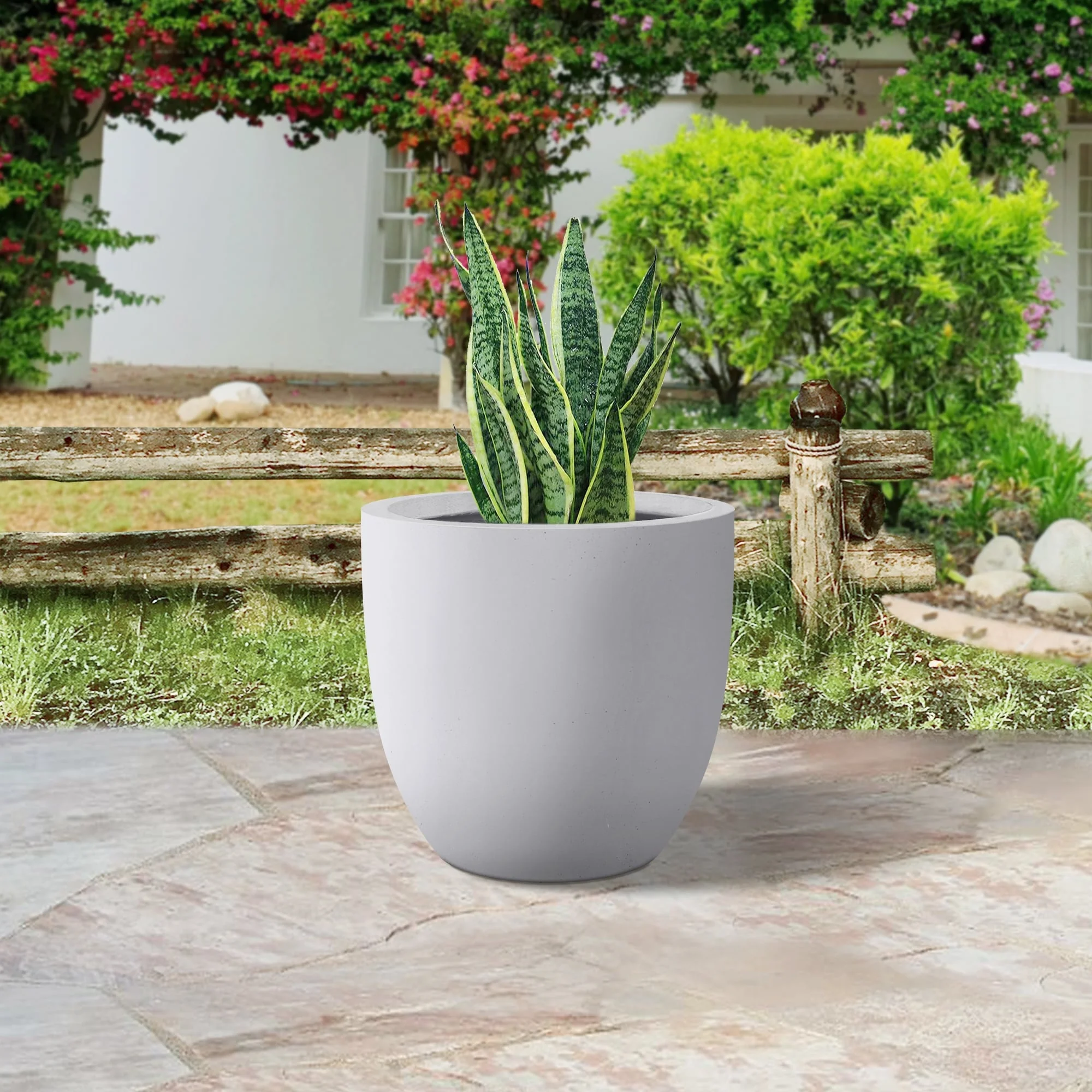 Plantara 18