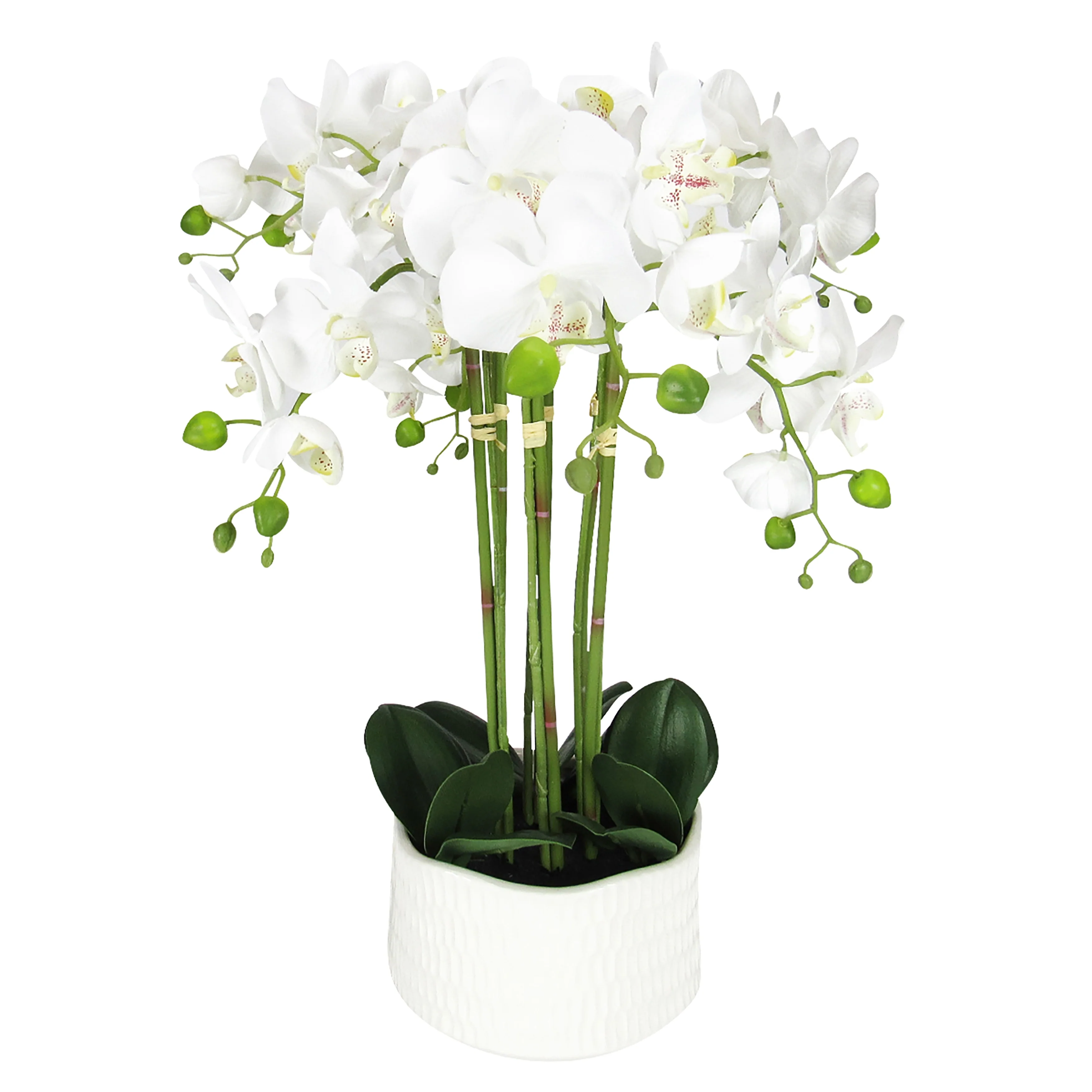 Cream White Artificial Phalaenopsis Orchid Flower Arrangement 6 Stem in Textured Cream Ceramic Pot 20in