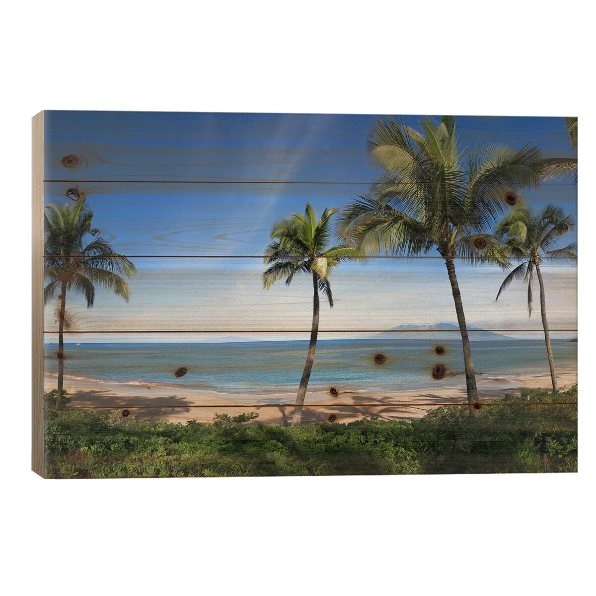 Palm Tree Lined Beach, Maui, Hawaii, USA Print On Wood by Panoramic Images - Multi-Color