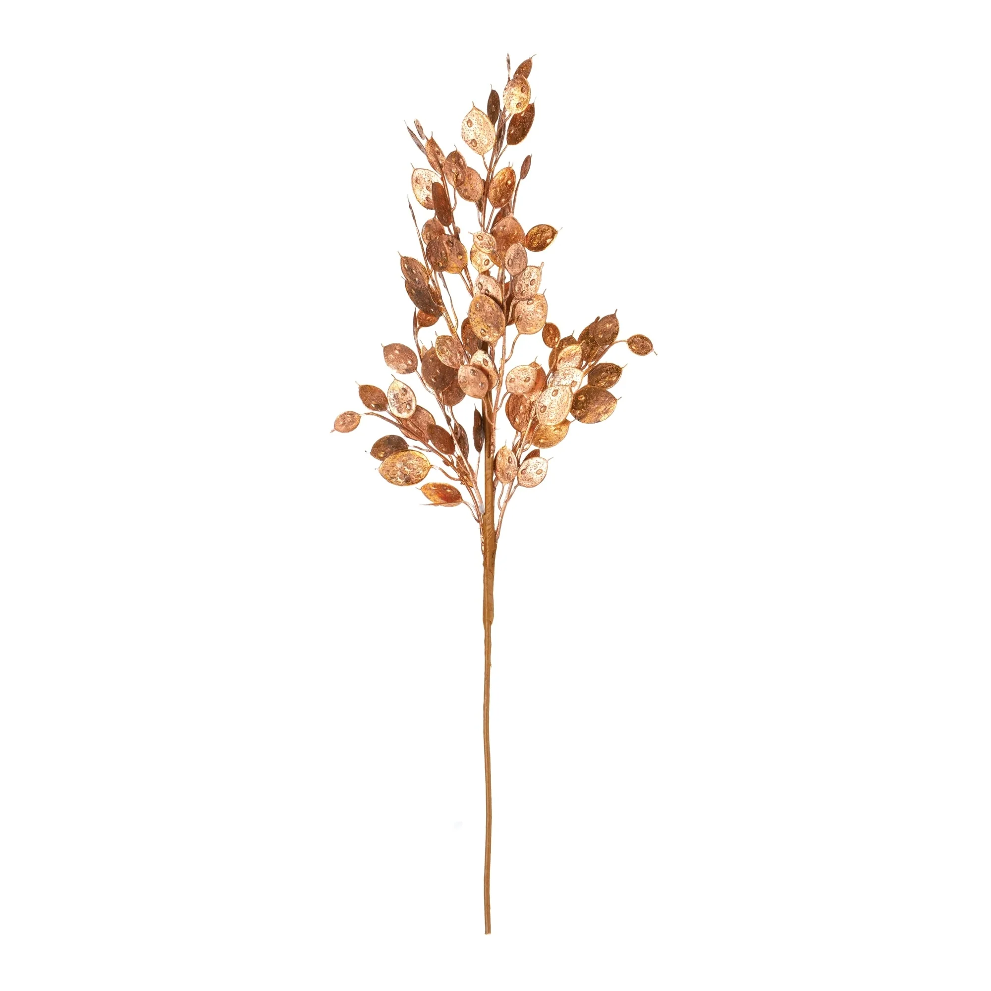 Metallic Silver Dollar Bush (Set of 6) - Copper