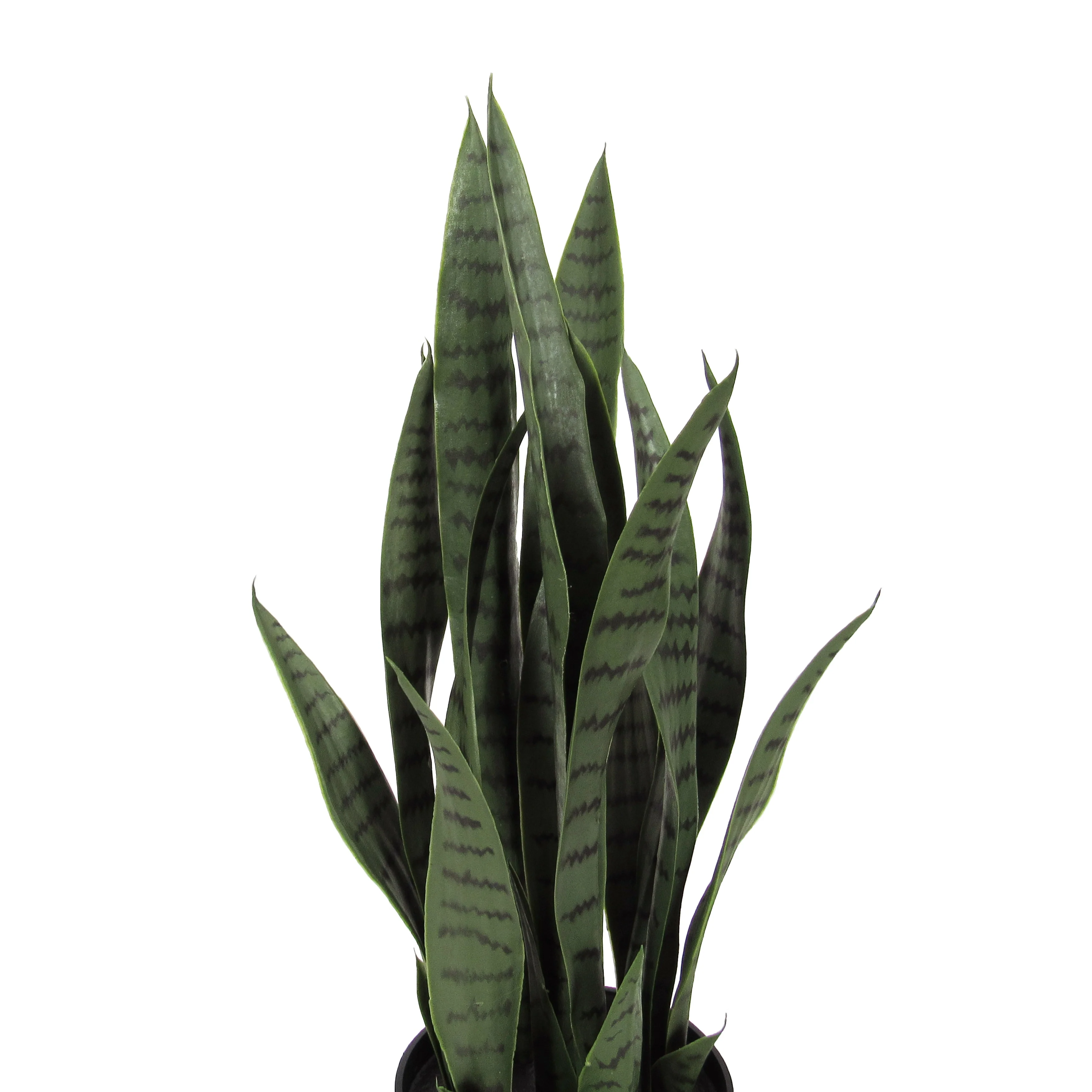 Artificial Sansevieria Snake Plant in Black Pot