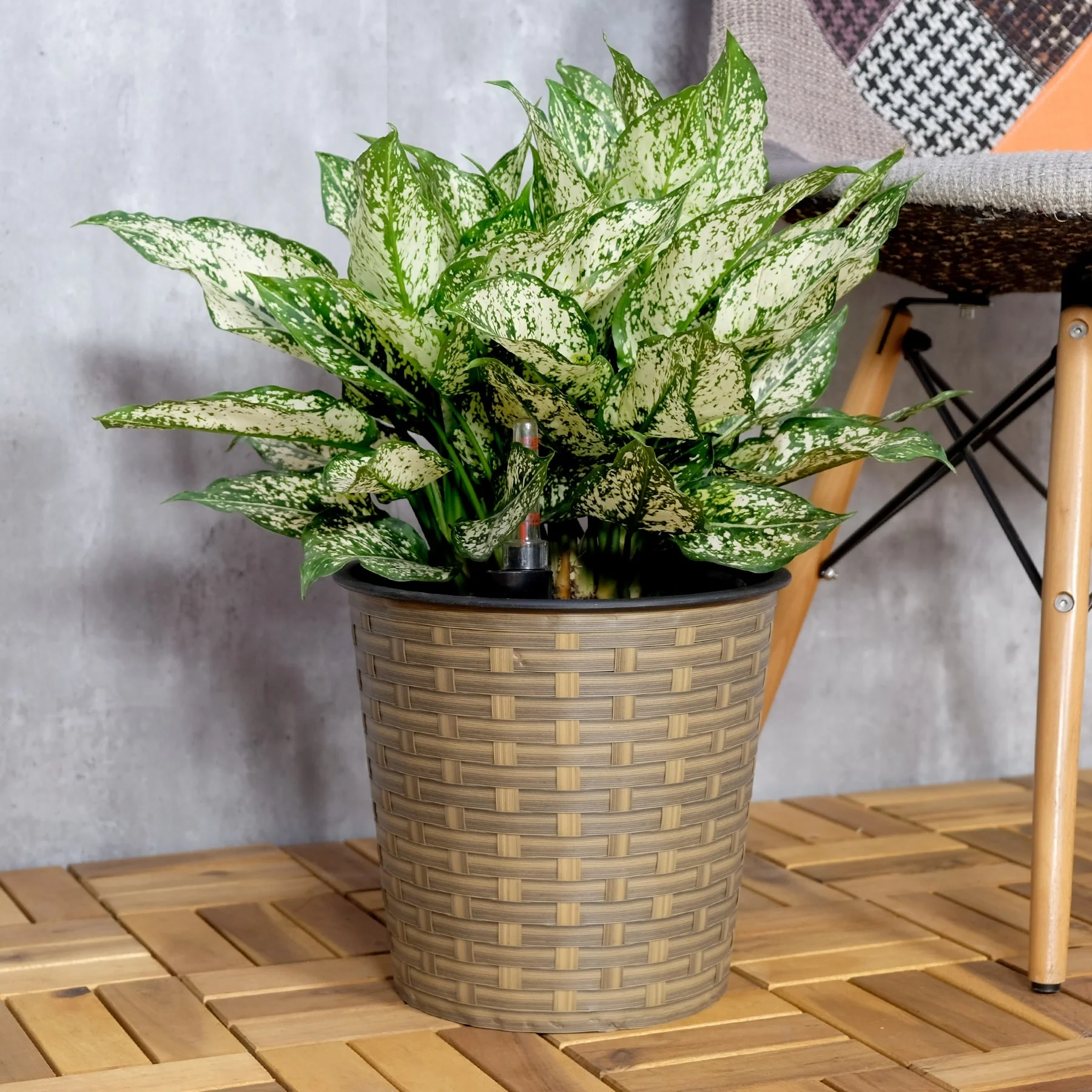 DTY Signature Self-watering Wicker Decor Planter for Indoor and Outdoor - Round - 13.4 inch Round