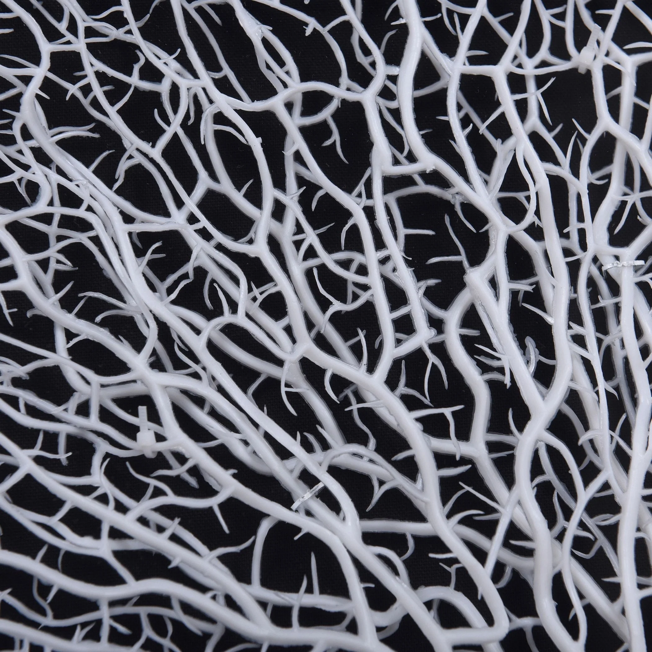 Tree on Black Background Shadow Box