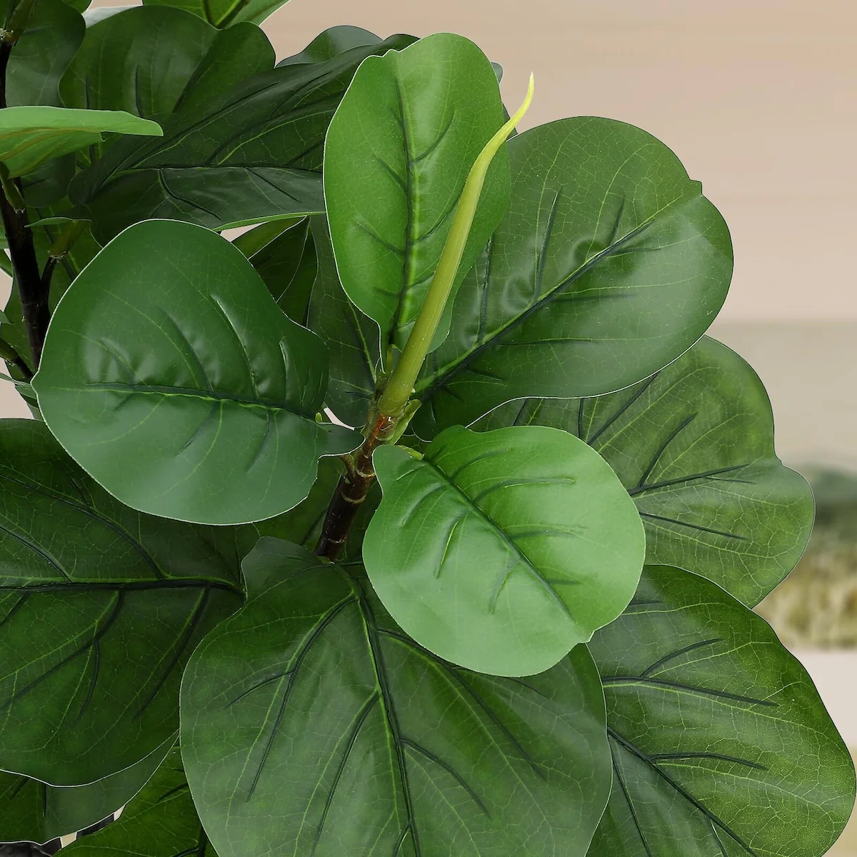6ft Artificial Fiddle Leaf Fig Tree - 6 FT