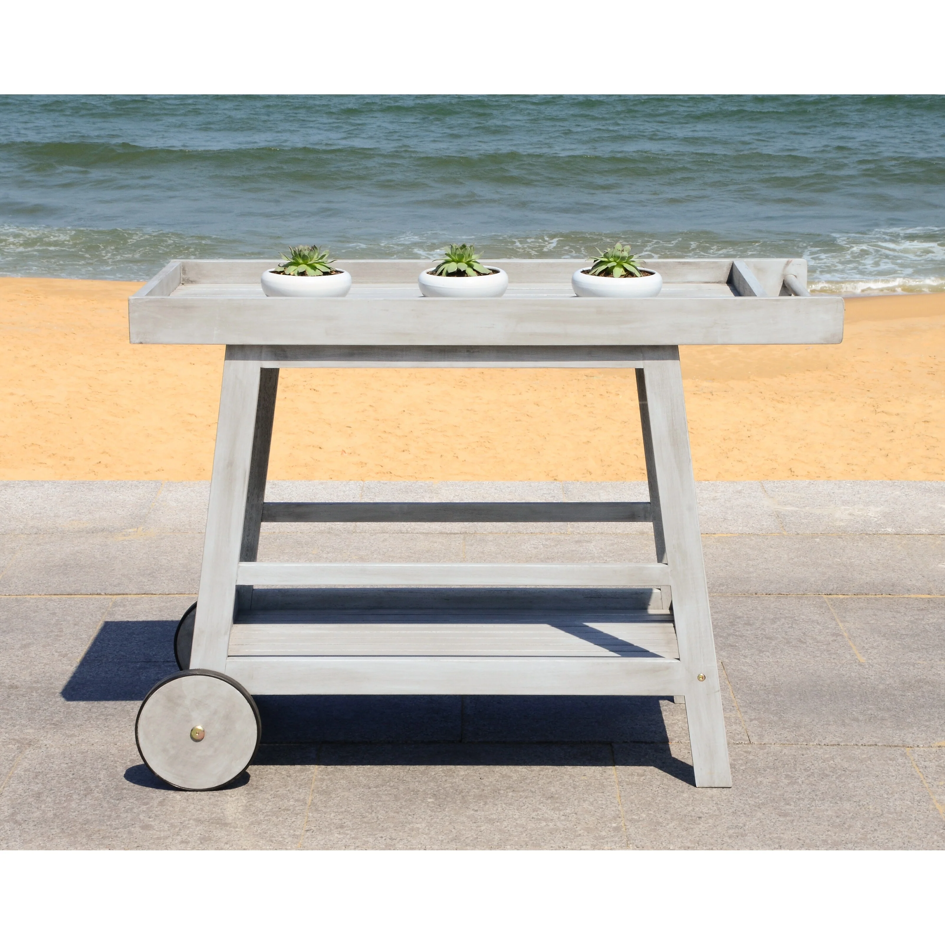 SAFAVIEH Outdoor Hayleigh Bar Cart - 48Wx20Dx32H