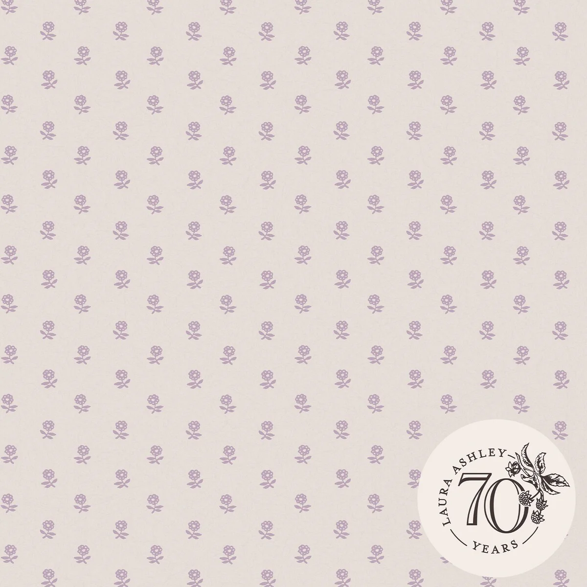 Laura Ashley Daisy Lavender Purple Wallpaper