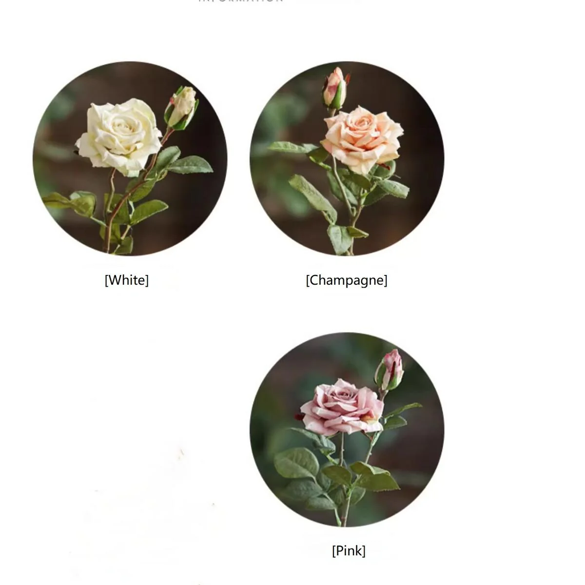 RusticReach Rolled Edge American Rose Stem 18