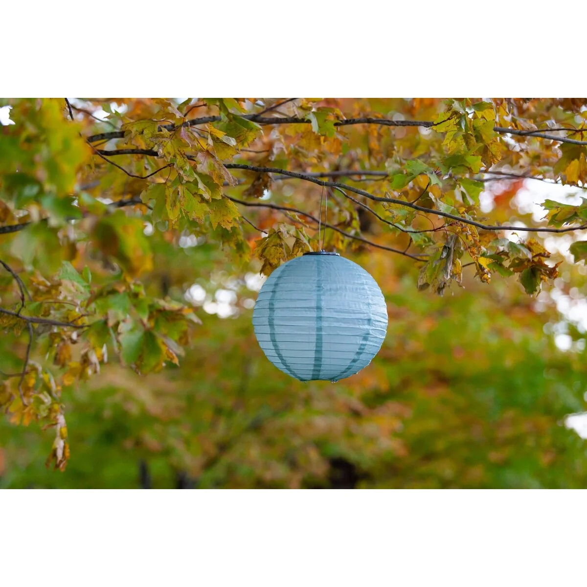 Soji Globe Festival - Sage Green