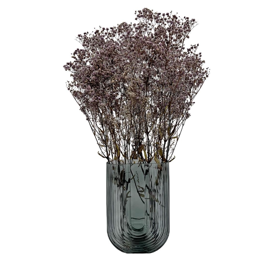 Bundle of 4 Preserved Gypsophila, Baby's Breath,24