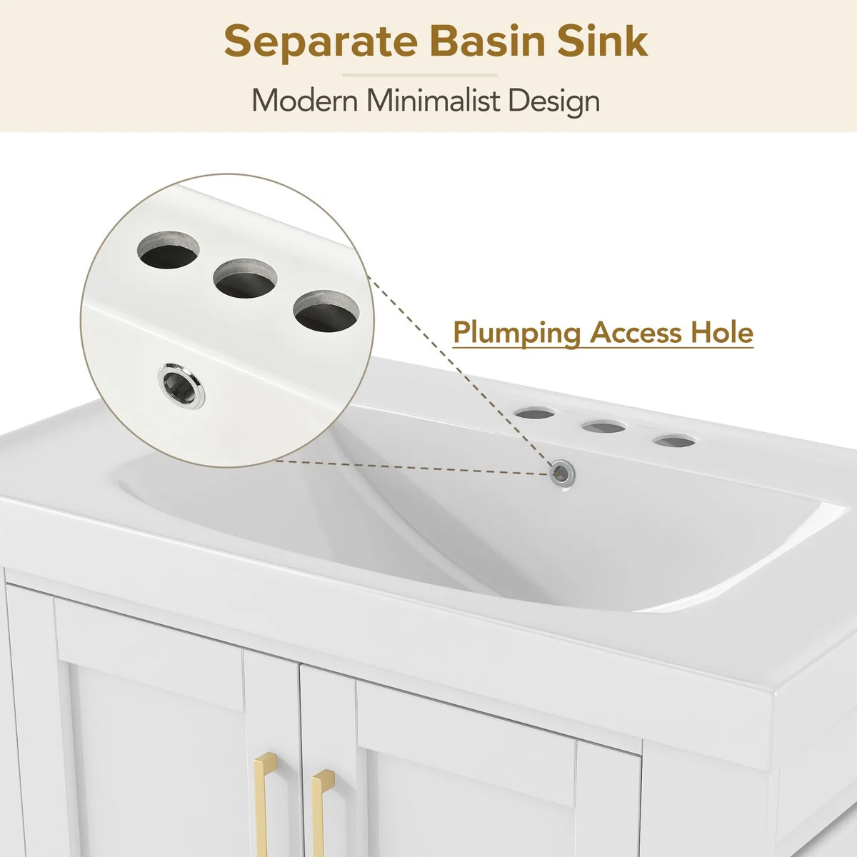 30 in. W x 18.1 in. D x 31.5 in. H Bath Vanity with White Resin Sink and Double-sided Storage Shelf