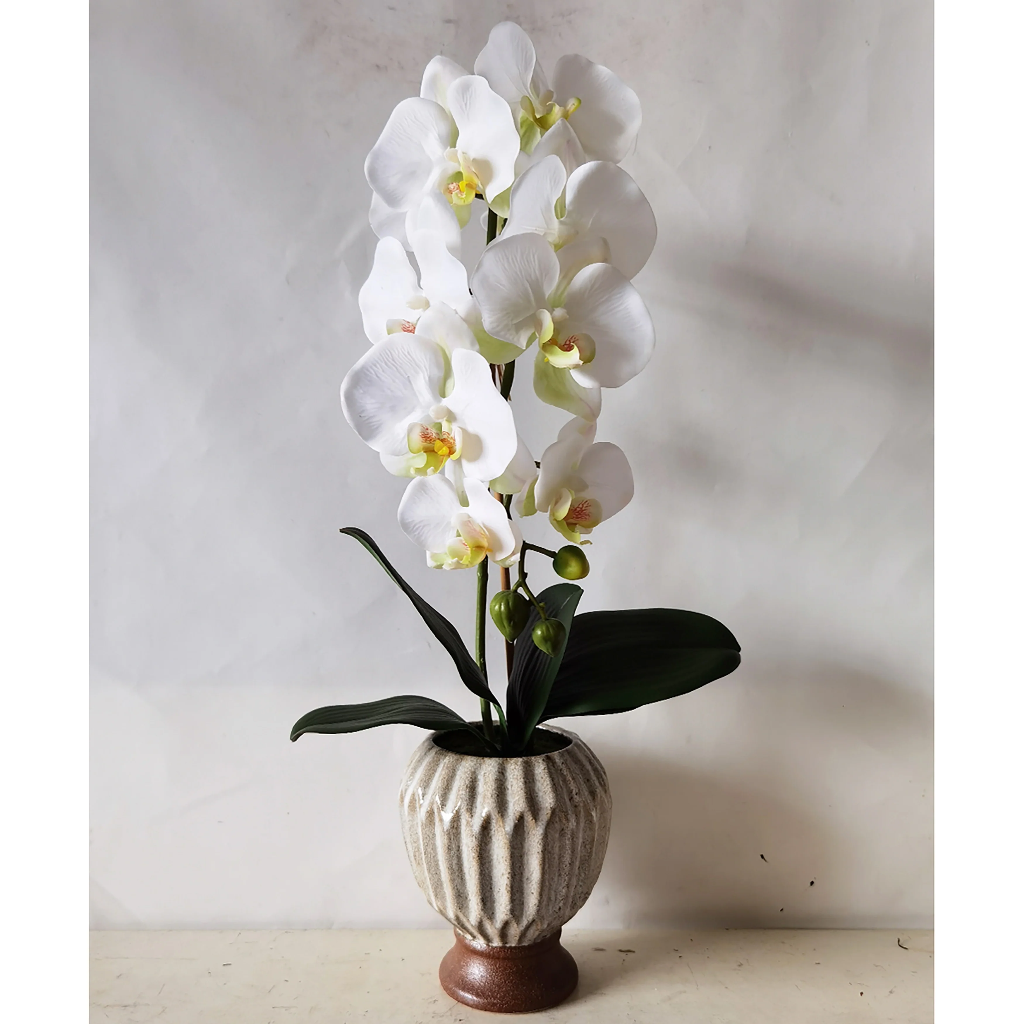 Cream White Artificial Phalaenopsis Orchid Flower Arrangement in Origami Ceramic Pot 24in - 24
