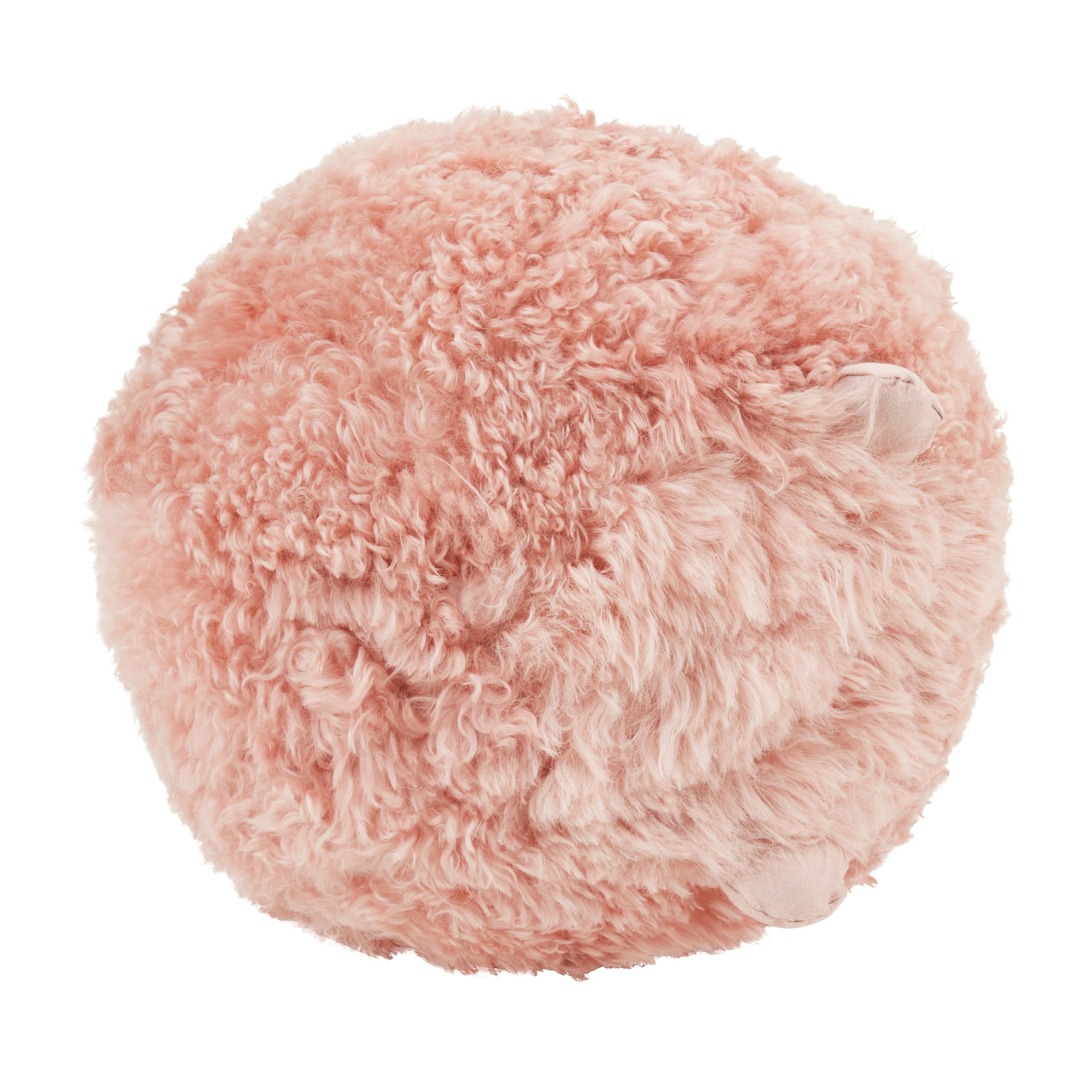 Wooly Wonder Baby Lamb Poly Filled Throw Pillow