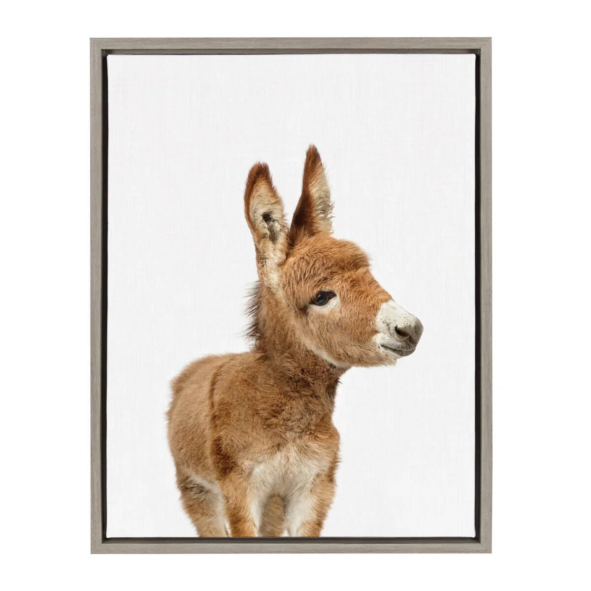 Sylvie Baby Burro Animal Print Framed Canvas Wall Art by Amy Peterson