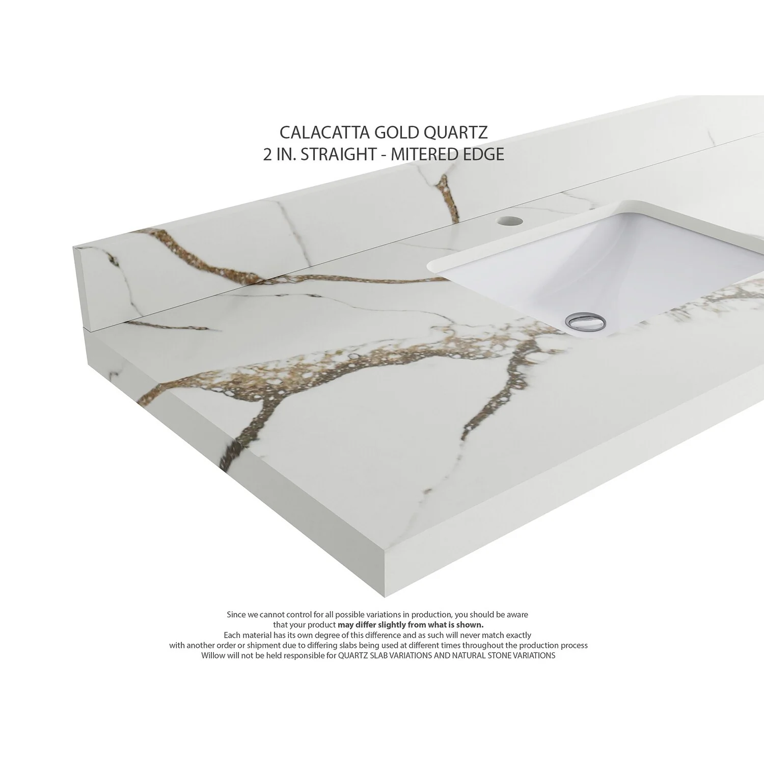 Willow Collections 48 in. W x 22 in. D Aberdeen Single Bowl Sink Bathroom Vanity with Countertop