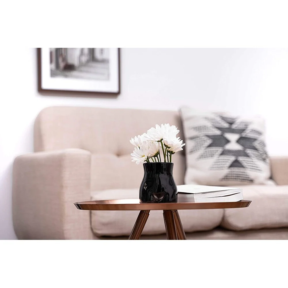 vase Body Vase for Flowers Kitchen Living Room Office
